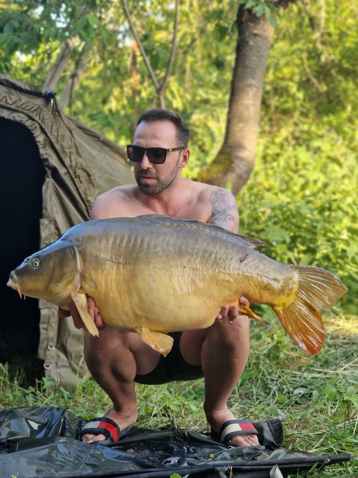Karpfen aus dem Neckar